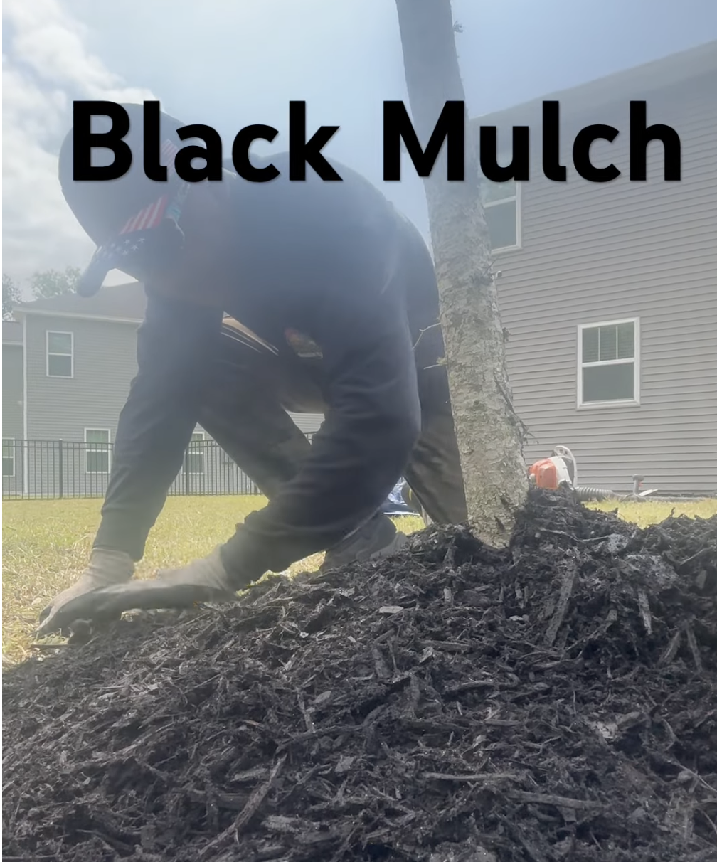 Black mulch being placed around a tree