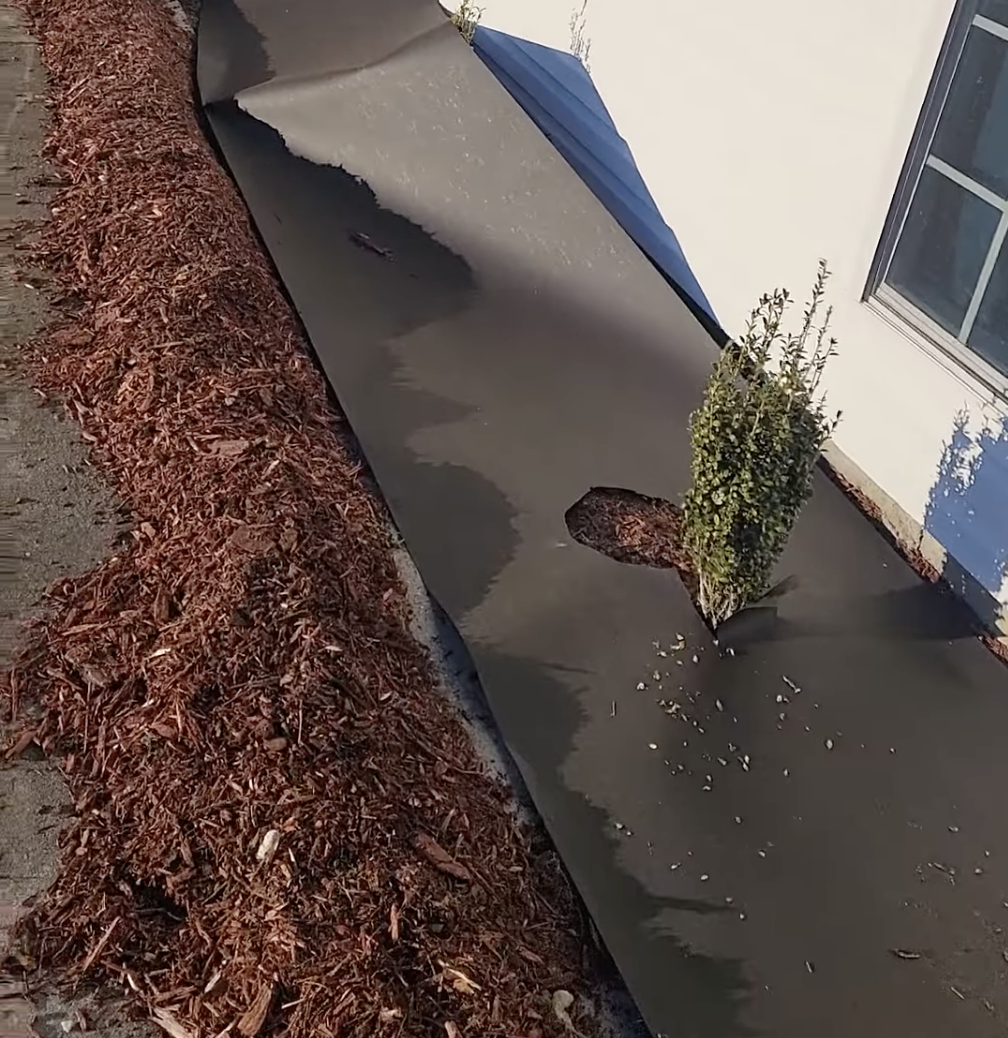 Freshly laid black mulch along a home walkway